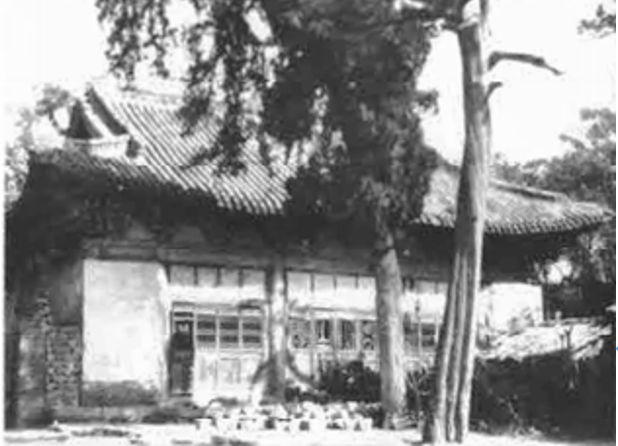 洞真观