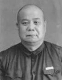 高延柳