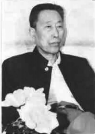 河南省地方史志协会会长李之放同志在《新安县志》稿评审会议上