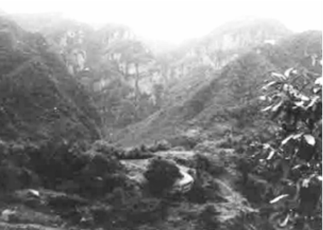 新安最高峰:西大塬